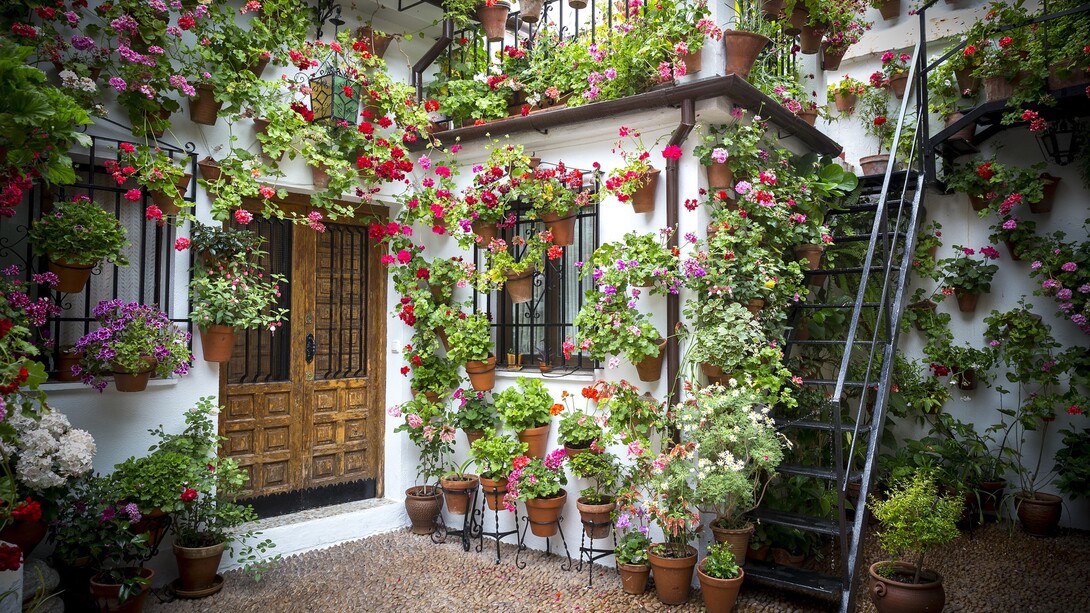 Patio de Córdoba