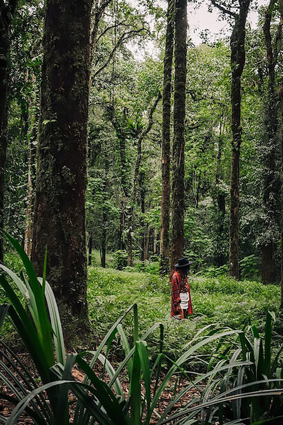 A lone woman immersed in the exploration of a lush forest, surrounded by verdant greenery
