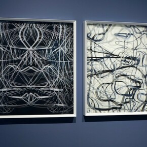 Maurizio Donzelli, La linea del tutto. Courtesy of Cortesi Gallery