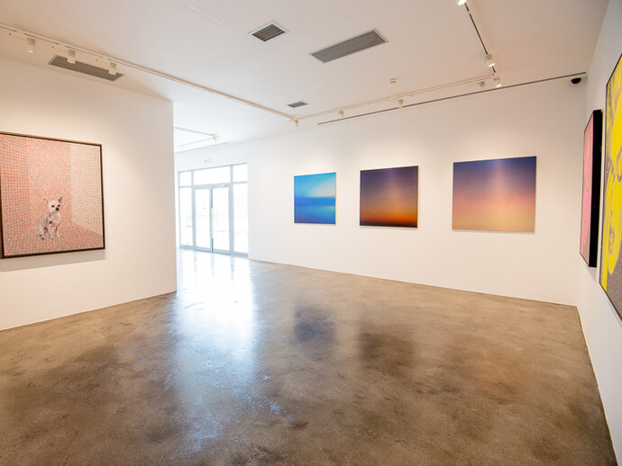 The Shock Of The New, Installation view