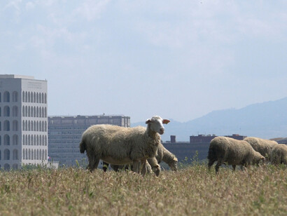 Michel Couturier, La friche, la galaxie (video-still), 2022. Avec l'aimable autorisation du Centrale for contemporary art
