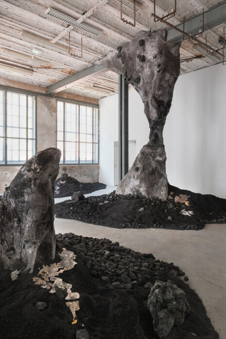 Charlotte Charbonnel, Larmes de la terre, vue d’exposition, 2021. Crédit photo : Vincent Blesbois