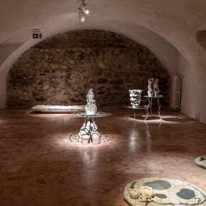 Katarína Bajkayová, Prunus perisca, exhibition view. Courtesy of the Bratislava City Gallery