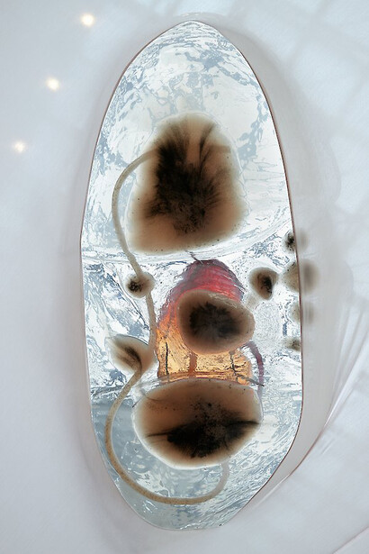 Pakui Hardware. Courtesy of Museum der bildenden Künste Leipzig
