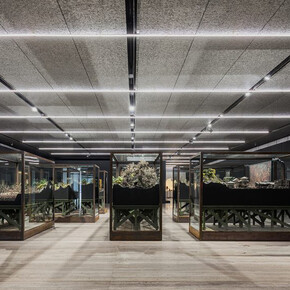 Sanguine. Luc Tuymans on Baroque. Courtesy of Fondazione Prada