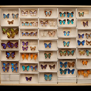 Grainger Science Hub. Courtesy of Field Museum