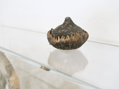 Lucky Capsule, 2021, installation view