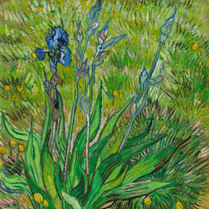 Vincent van Gogh; Iris, 1889 (detalle)
