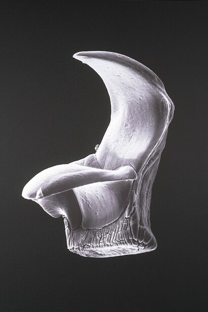 Koret Family Gallery. Art and Science. Courtesy of San Jose Museum of Art