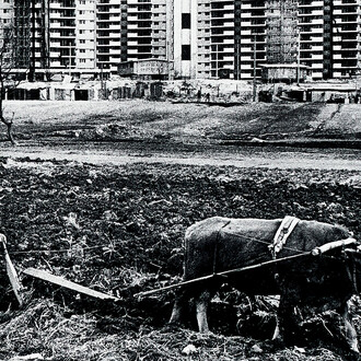 Jun Min Cho, Gangnam view of Hyundai apartment blocks. Courtesy of Museum Rietberg