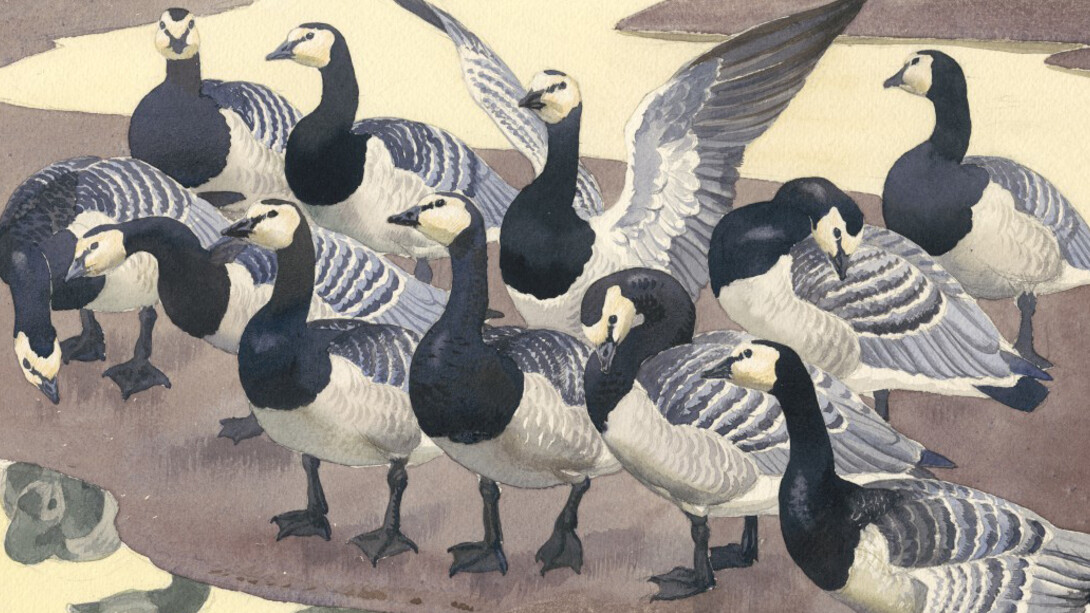 Second Nature. Courtesy of Royal Academy of Arts