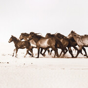 Roberto Dutesco, Western run (1/3), 2007. Courtesy of West Chelsea Contemporary 