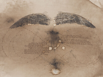 Courtesy Ricardo Brey & Galerie Nathalie Obadia Paris / Brussels © We Document Art