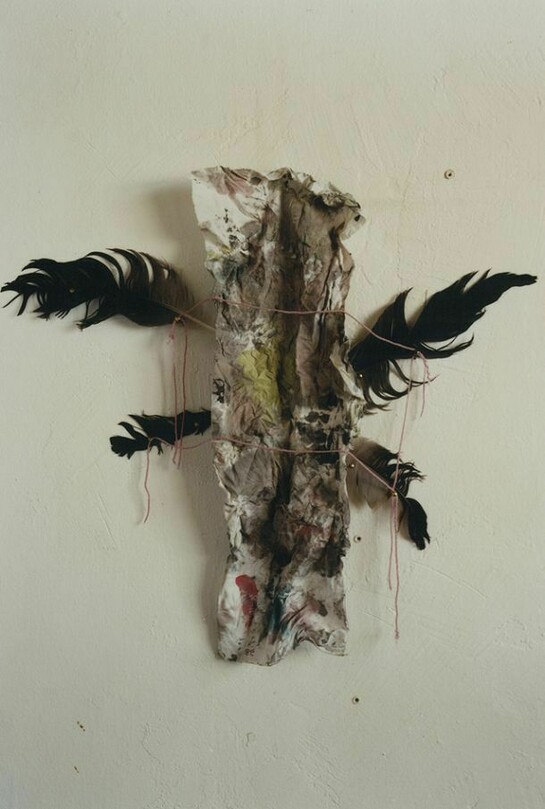 Saul Fletcher, Untitled #281 (Rag), 2013, Courtesy Anton Kern Gallery, New York