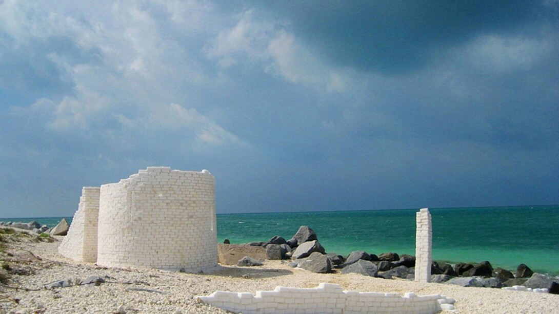 Sal Non Sal 124, Photo credit: Lori Nozick