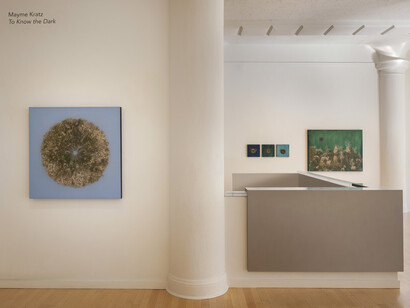 Mayme Kratz, To know the dark, exhibition view. Courtesy of Dolby Chadwick Gallery