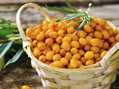 Sea Buckthorn, the strongest antioxidant
