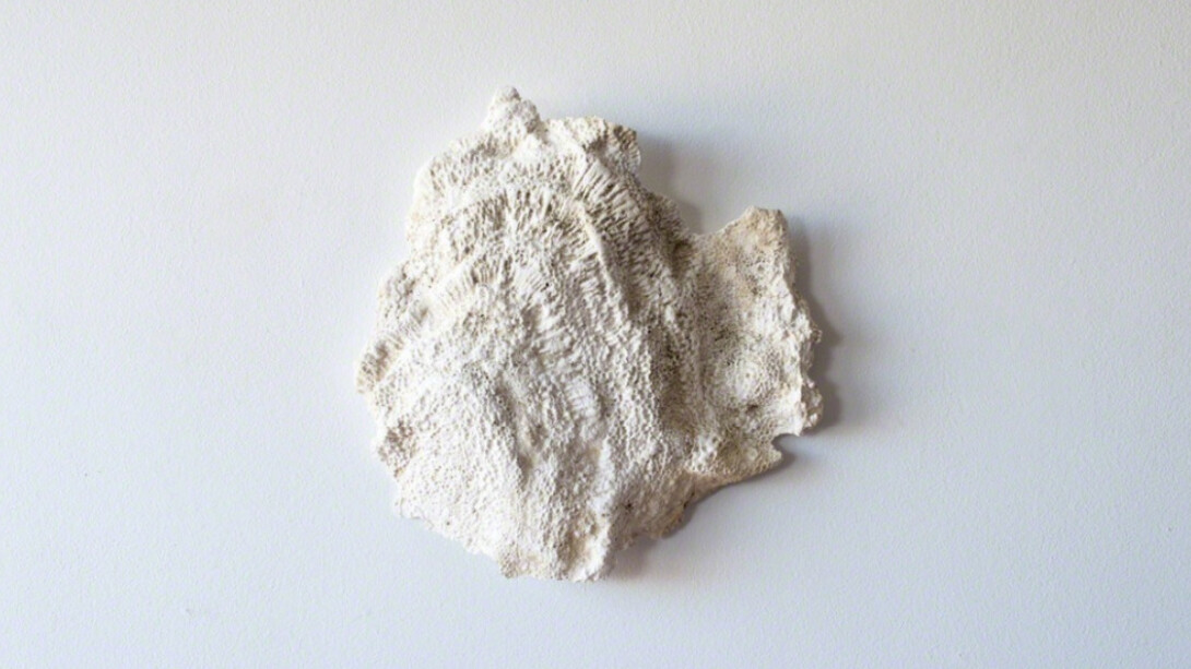 Microcosm & Macrocosm. Courtesy of Sapar Contemporary