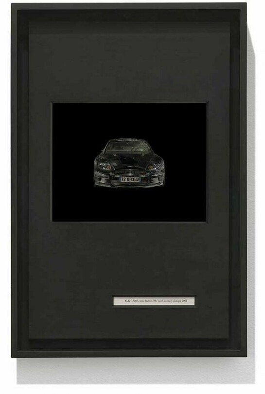 Taryn Simon, 2008 Aston Martin DBS (with continuity damage), 2008”, Birds of the West Indies, 2013 © Taryn Simon. Courtesy of the artist and Gagosian Gallery