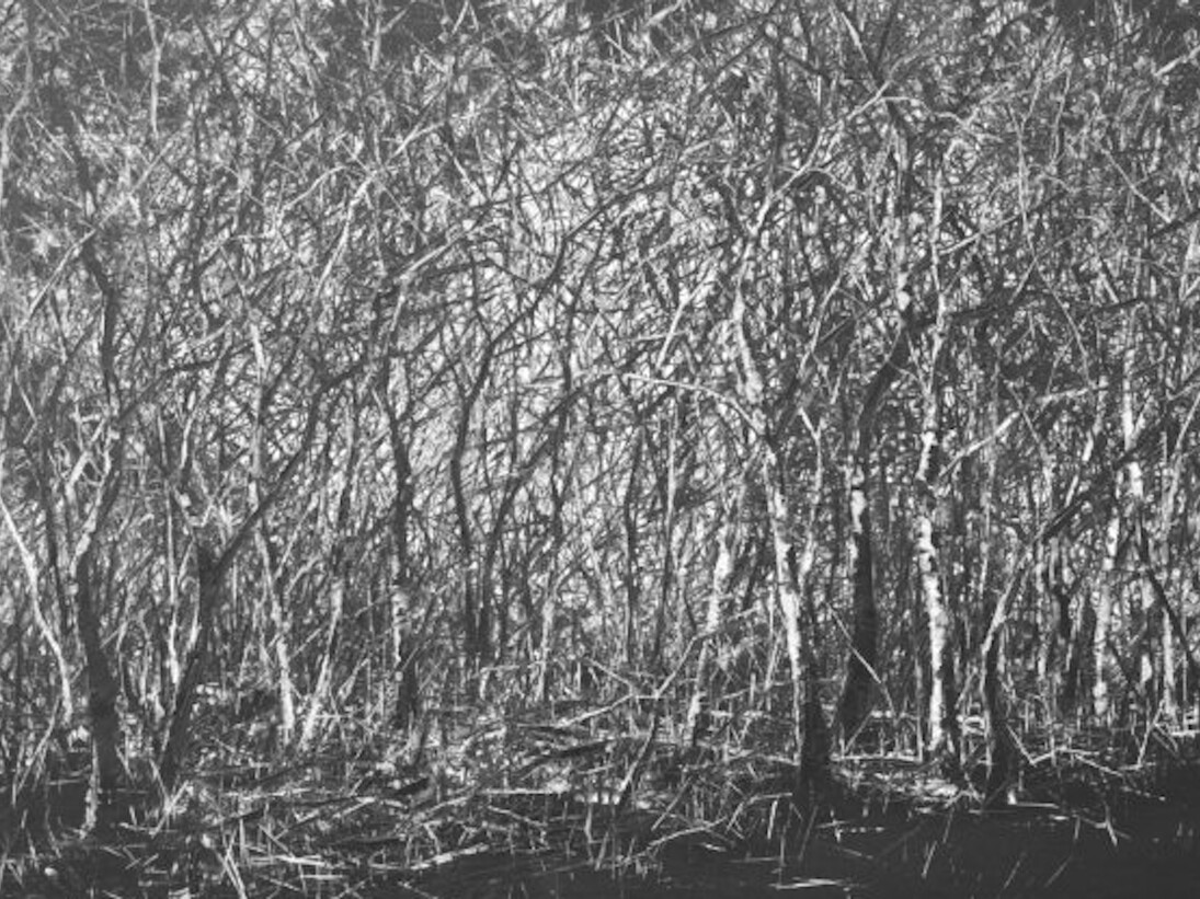 Todd Carpenter. Shadow Discarnate. Courtesy of KP Projects