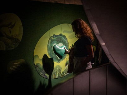 Spectrum of light. Exposure to colour. Green, exhibition view. Courtesy of Wroclaw Contemporary Museum