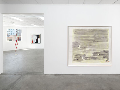Covey Gong and Monique Mouton, A vista, exhibition view. Courtesy of Bel Ami Gallery