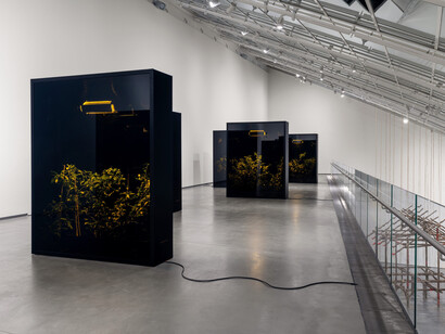 Various artists, Between rivers, exhibition view. Courtesy of Astrup Fearnley Museet
