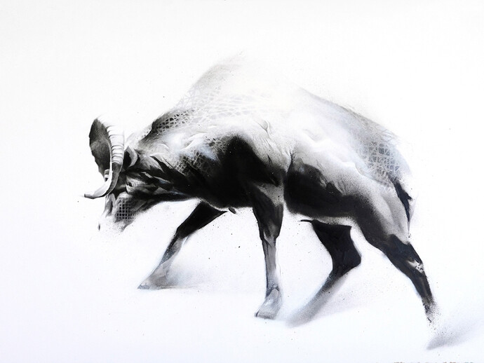 Li-Hill, Steady, (Bighorn Sheep – Ovis canadensis), Graphite and aerosol on paper, 30in x 22in (76 x 56cm)