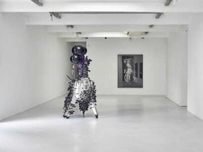 Thomas Feuerstein, Exhibition view. Courtesy of Galerie Elisabeth & Klaus Thoman