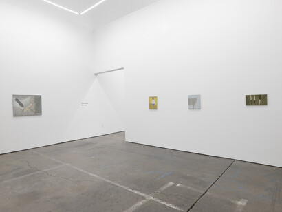Tyler Ormsby, Punk leaf, exhibition view. Courtesy of Altman Siegel 