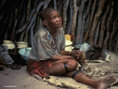 Un boscimane  © Survival