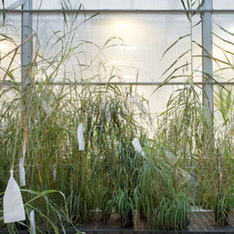 Thomas Struth. Courtesy of MAST Foundation