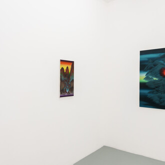 Christian Hidaka, Underground Shanshui, vue de l'exposition. Avec l'aimable autorisation de la galerie Michel Rein