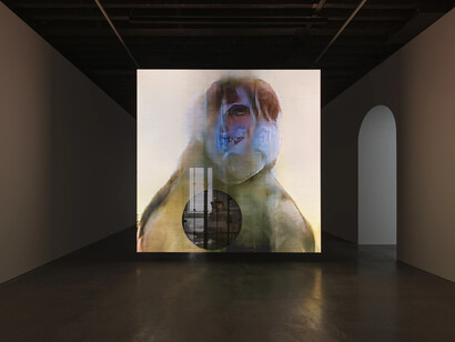 Pierre Huyghe, In imaginal, exhibition view. Courtesy of Marian Goodman Gallery