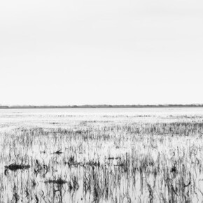 Eric Pillot. Courtesy of Galerie Dumonteil