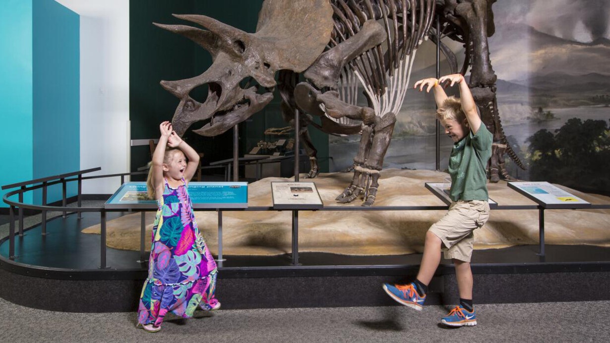 Dinosaurs & Fossils. Courtesy of Science Museum of Minnesota