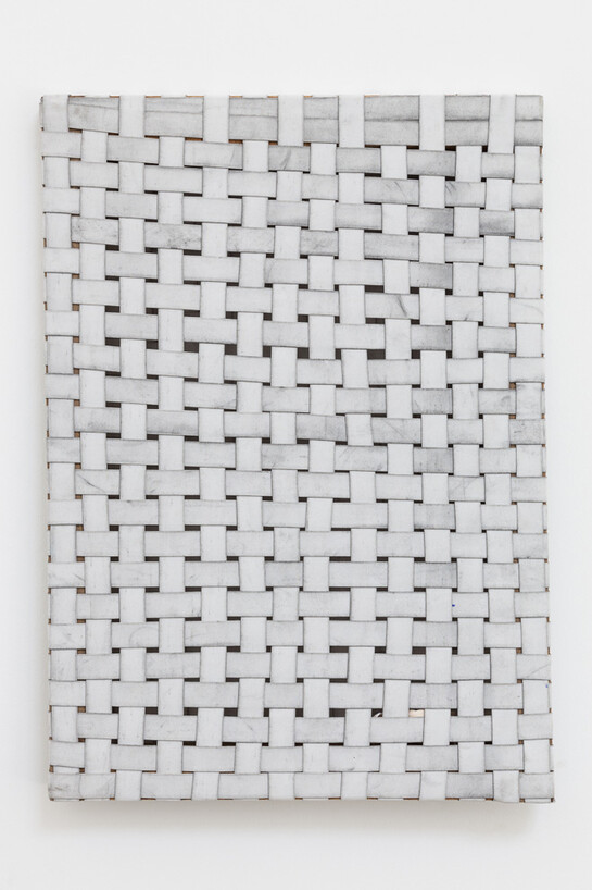 Jarbas Lopes. Elastica