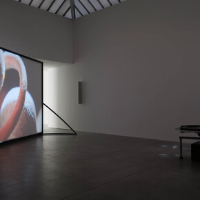 Rosa Barba, Tangible kinships, vista della mostra. Cortesia di Vistamare