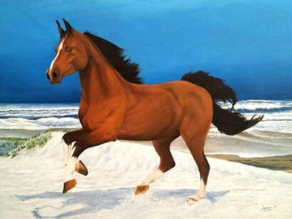 Cavallo in riva al mare