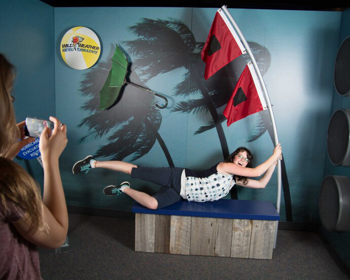 Wild Weather, Exhibition view. Courtesy of Witte Museum