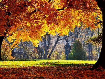 I colori dell'autunno