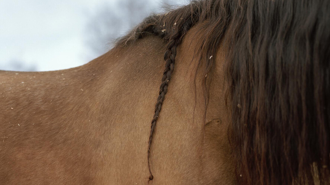 Kati Leinonen. Courtesy of The Finnish Museum of Photography