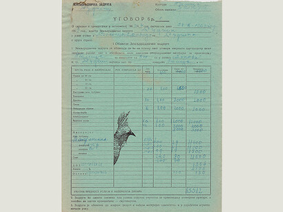 Petrit Halilaj. Courtesy of Zentrum Paul Klee