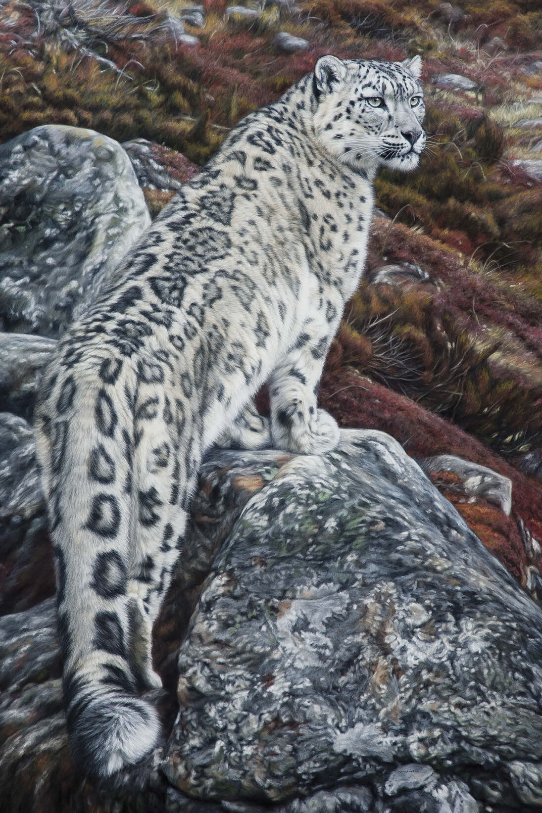 Gary Stinton, Snow Leopard - Large as Life II, Pastel on museum board, Signed, 58 x 38ins (147.25 × 96.5 cm)