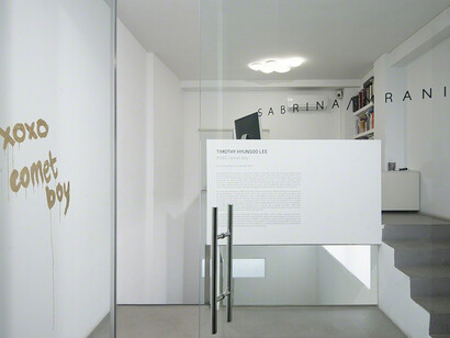 XOXO Comet Boy. Courtesy of Galería Sabrina Amrani