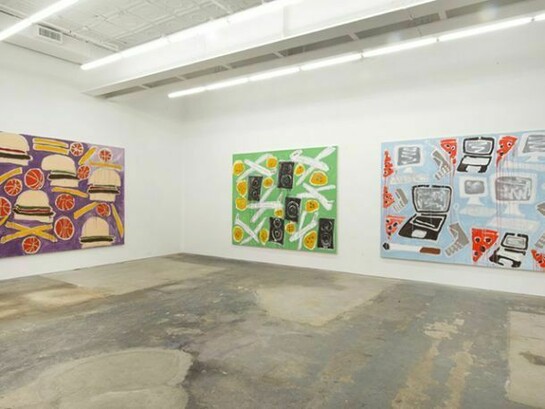 Katherine Bernhardt, Katherine Bernhardt, "Stupid, Crazy, Ridiculous, Funny Patterns", 2014, Installation View, Canada