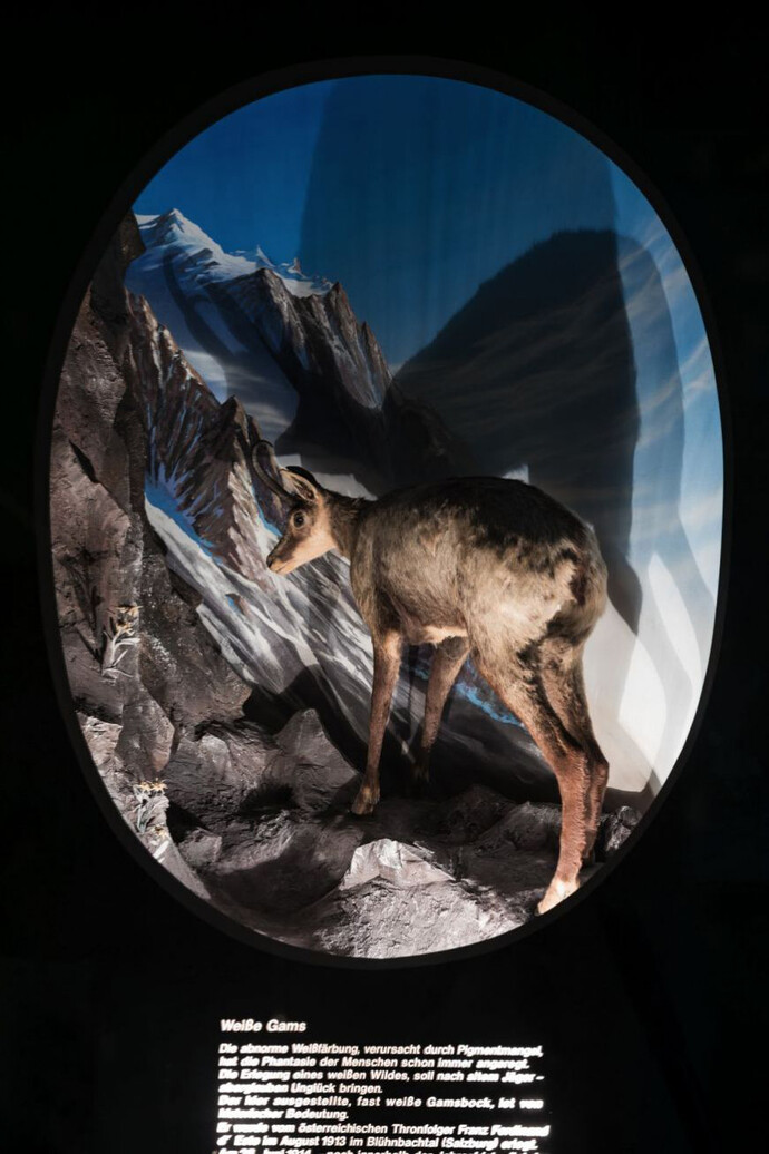 Man and Animal ins Fables and Myths. Courtesy of Haus der Natur 