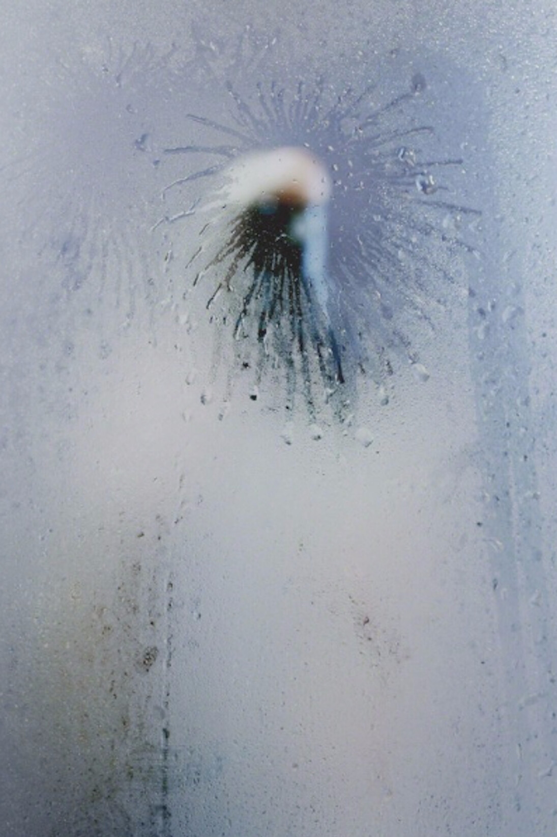 Spray On, Exhibition view. Courtesy of Carolina Nitsch