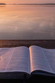 Un libro al tramonto
