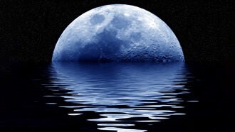 How many words are there in the languages we think and speak on?